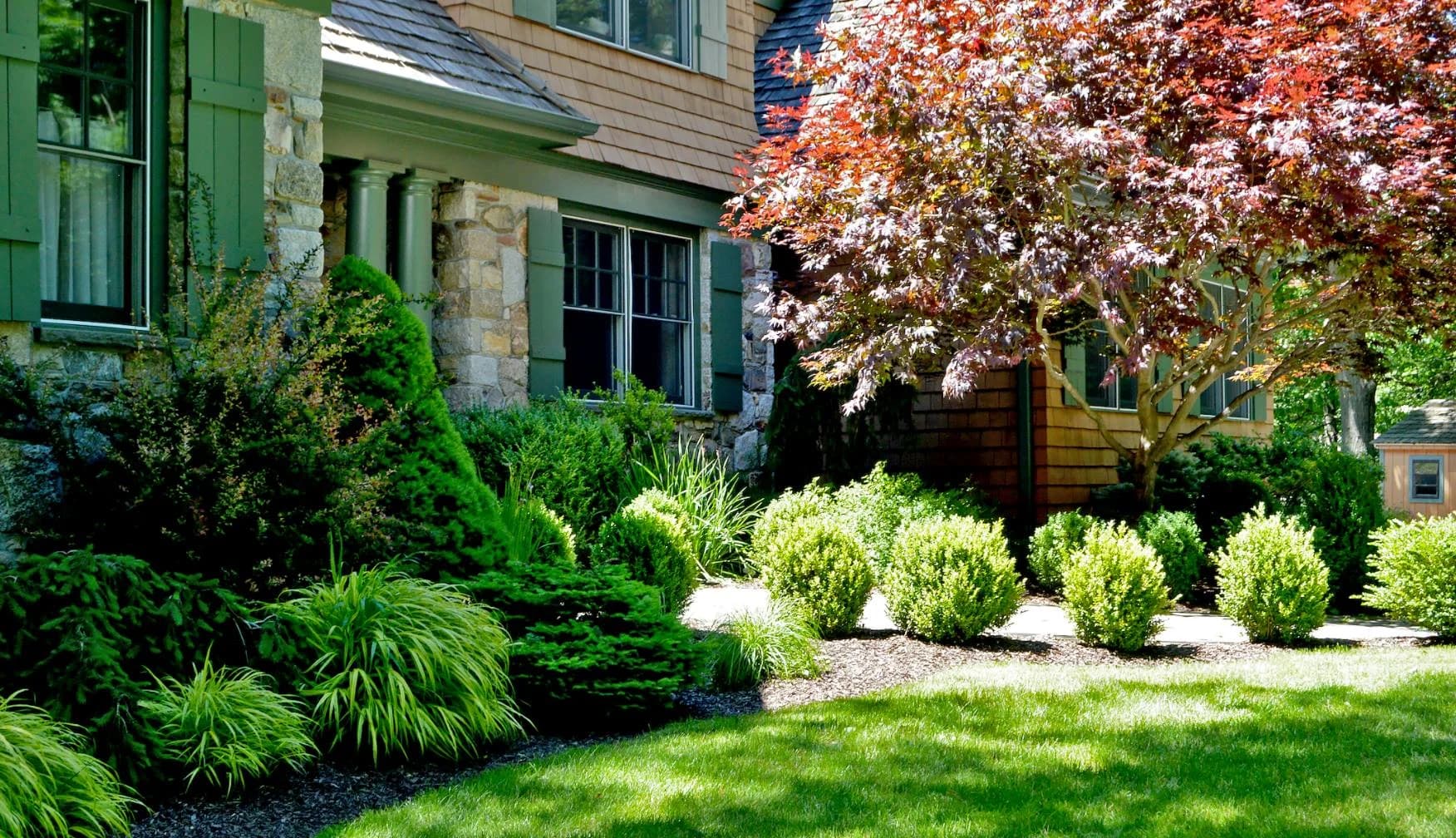 Tree & Shrub Planting Services in Dublin, OH