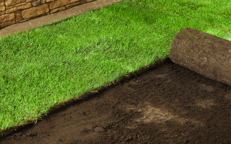 Sod Installation Services in Dublin, OH
