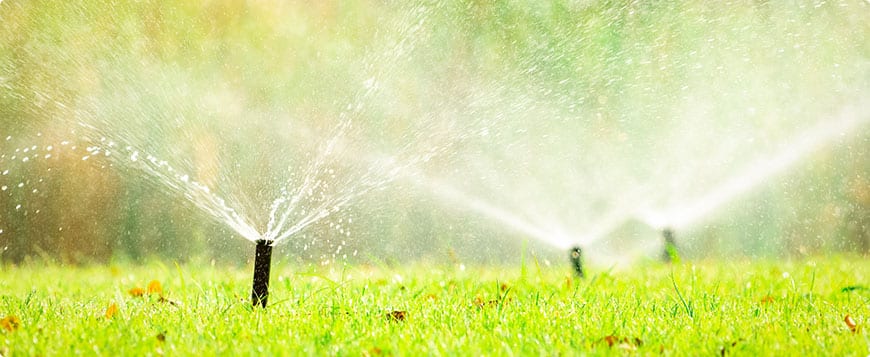 Irrigation System Installation project 6
