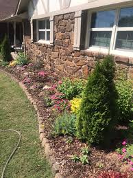 Tree & Shrub Planting project 4