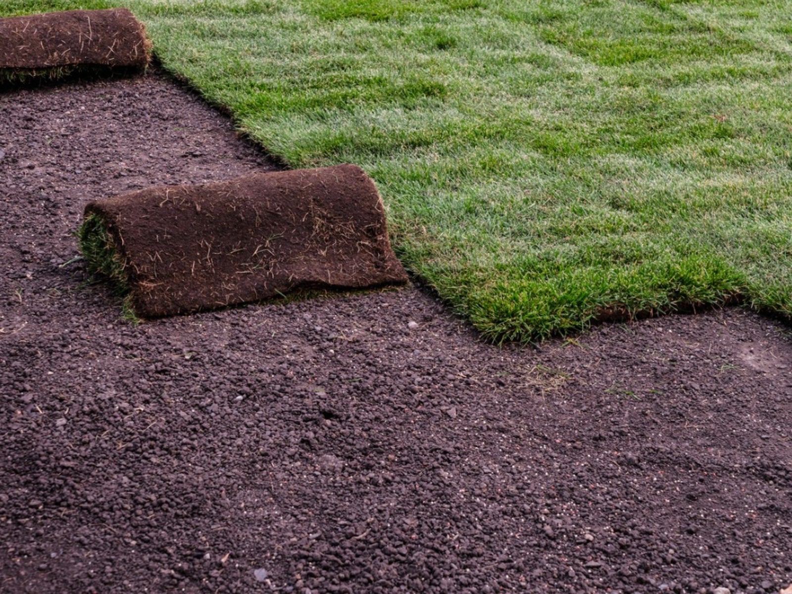 Sod Installation project 6
